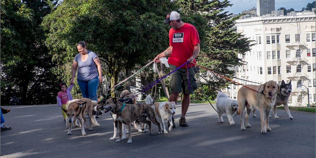 3 года в США. 8 вещей, к которым не получилось привыкнуть