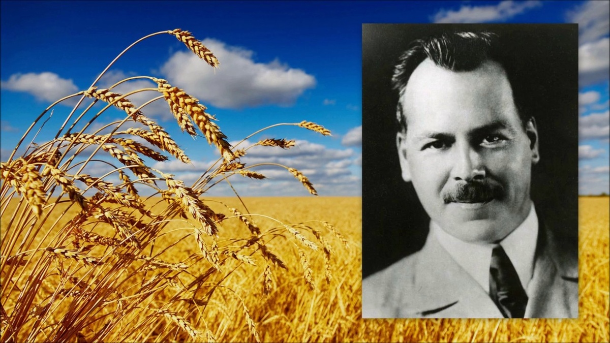 Из: Академик Николай Иванович Вавилов. Рассказывает историк Алексей Кузнецов
web.archive.org
