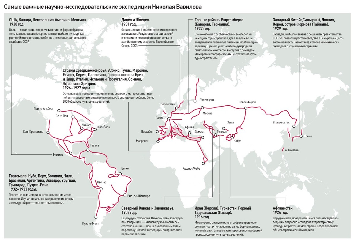Из: Самые важные научно-исследовательские экспедиции Николая Вавилова / Илья Юдин. Погибший и воскресший: трагическая судьба ученого Николая Вавилова. Ольга Кузьмина