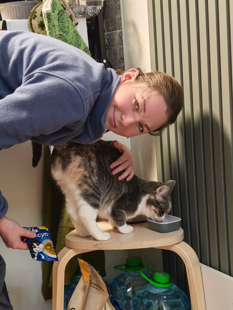 Кормлю кошку "фаст-фудом", иногда можно побаловать))