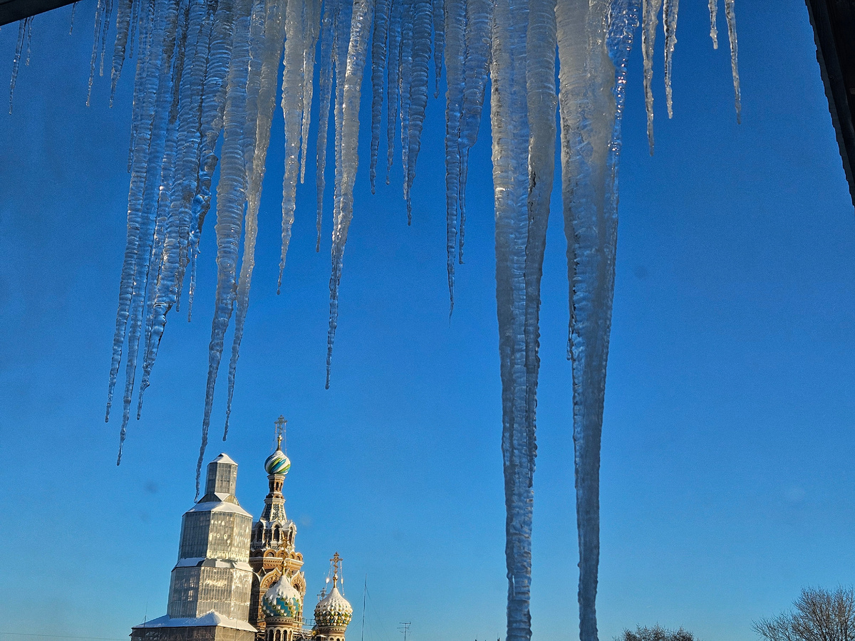Вид на Спас-на-Крови из окна.