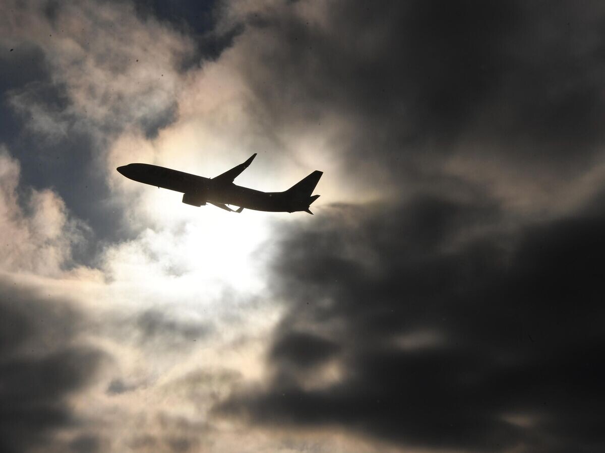    Самолет в небе над международным аэропортом Внуково© РИА Новости . Илья Питалев