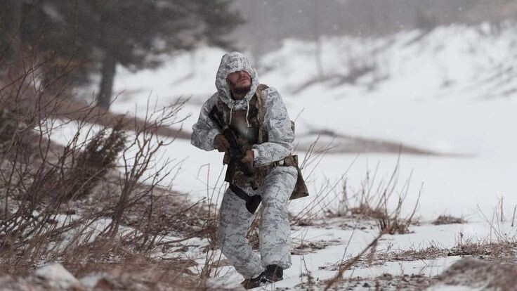    Фото: dotshock/Shutterstock/Fotodom