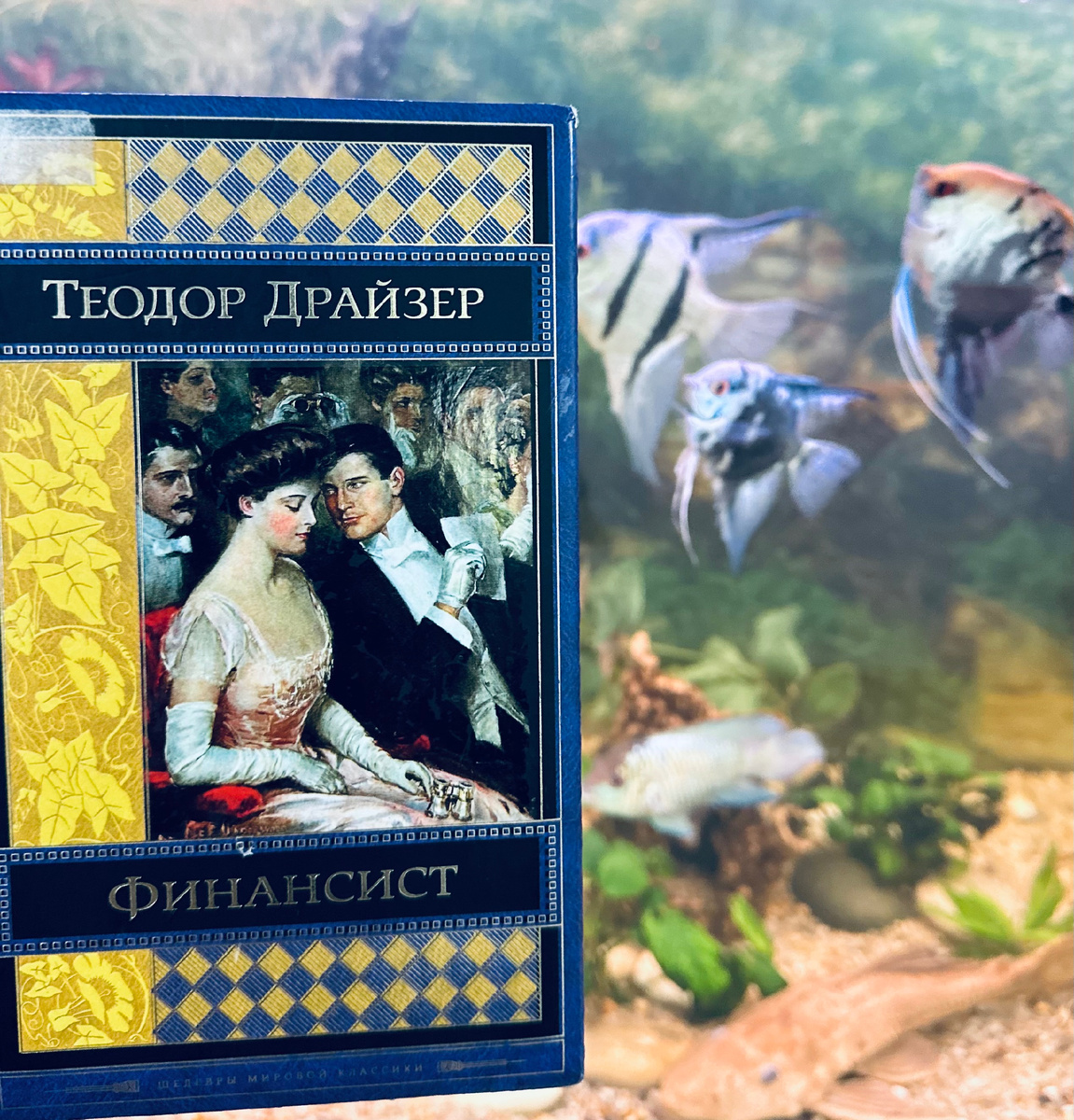 Фото автора канала