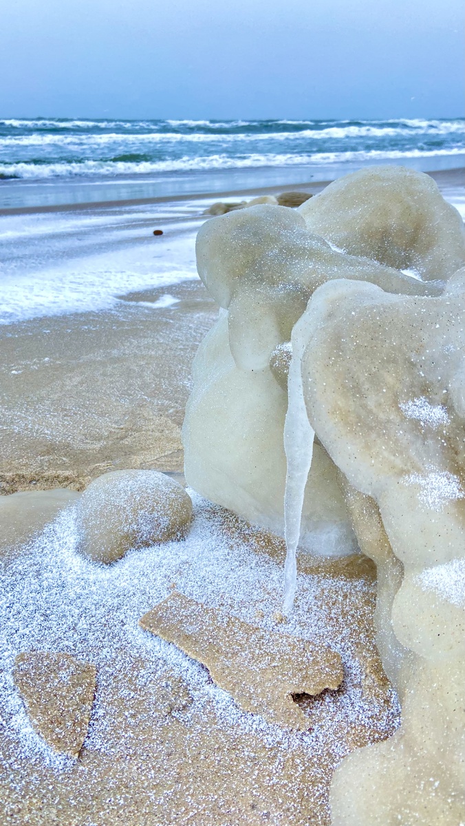 Куршская коса