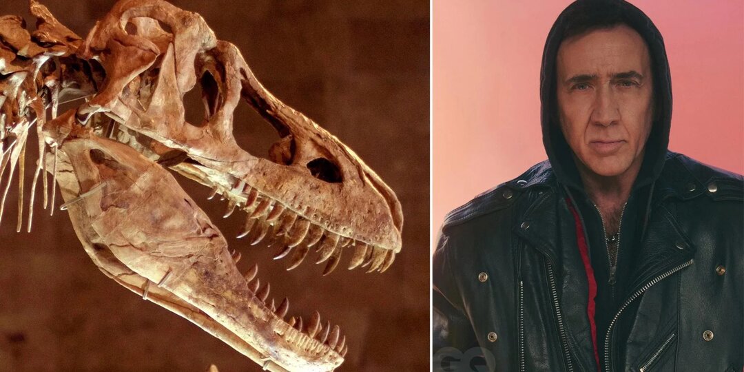 Череп динозавра и два замка, как спустить $150 миллионов и стать банкротом