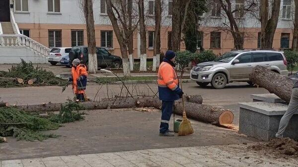    © Telegram-канал Моя Феодосия Z