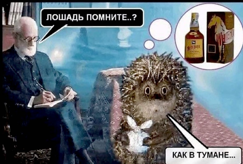 Картинка из интернета. Для иллюстрации публикации.