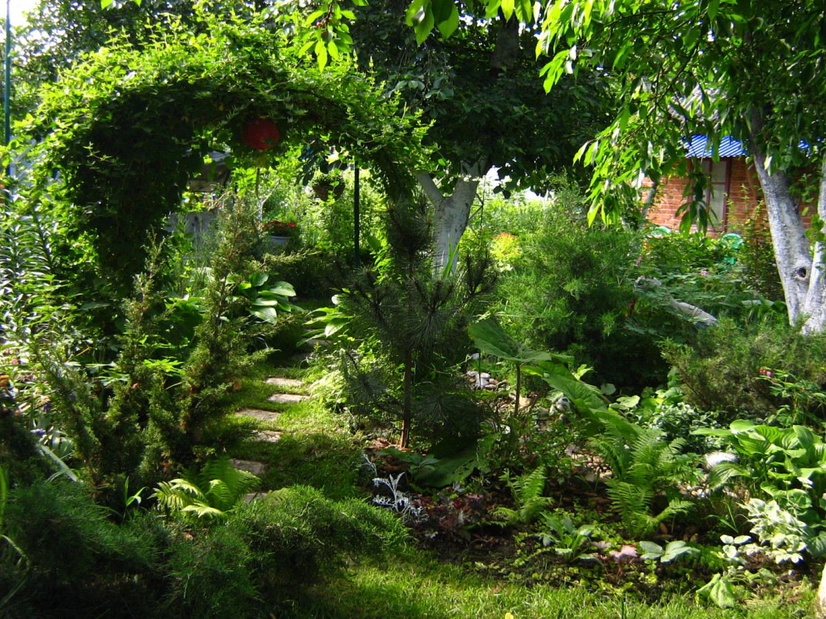 Когда-нибудь будет так...