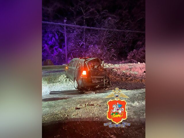    Фото: телеграм-канал "Подмосковная полиция"