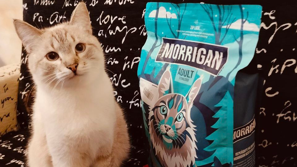 Обзор корма для кошек Morrigan телятина/ягненок