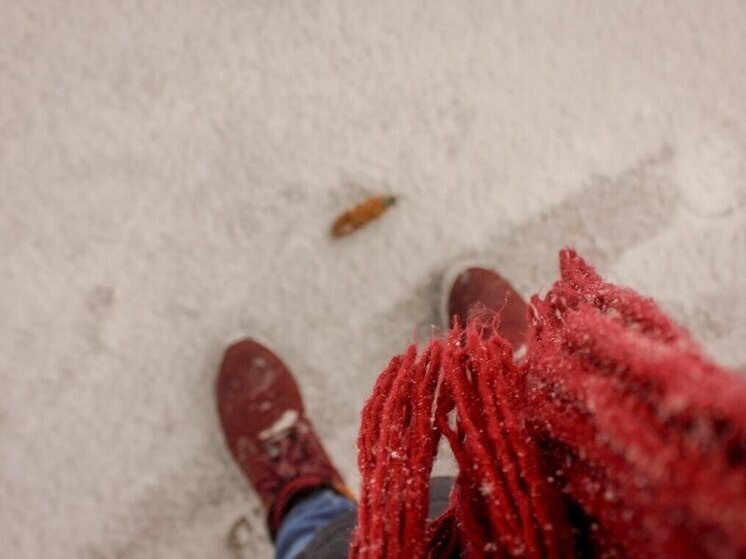     На уборку дорог вышли 1 053 единицы техники и 1 033 работника. Фото: архив МК в Питере