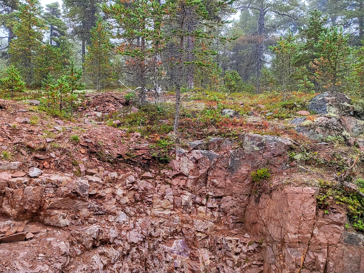 Бледно-фиолетовое пятно внизу по центру кадра — выход жилы, который на предыдущем фото снят крупным планом