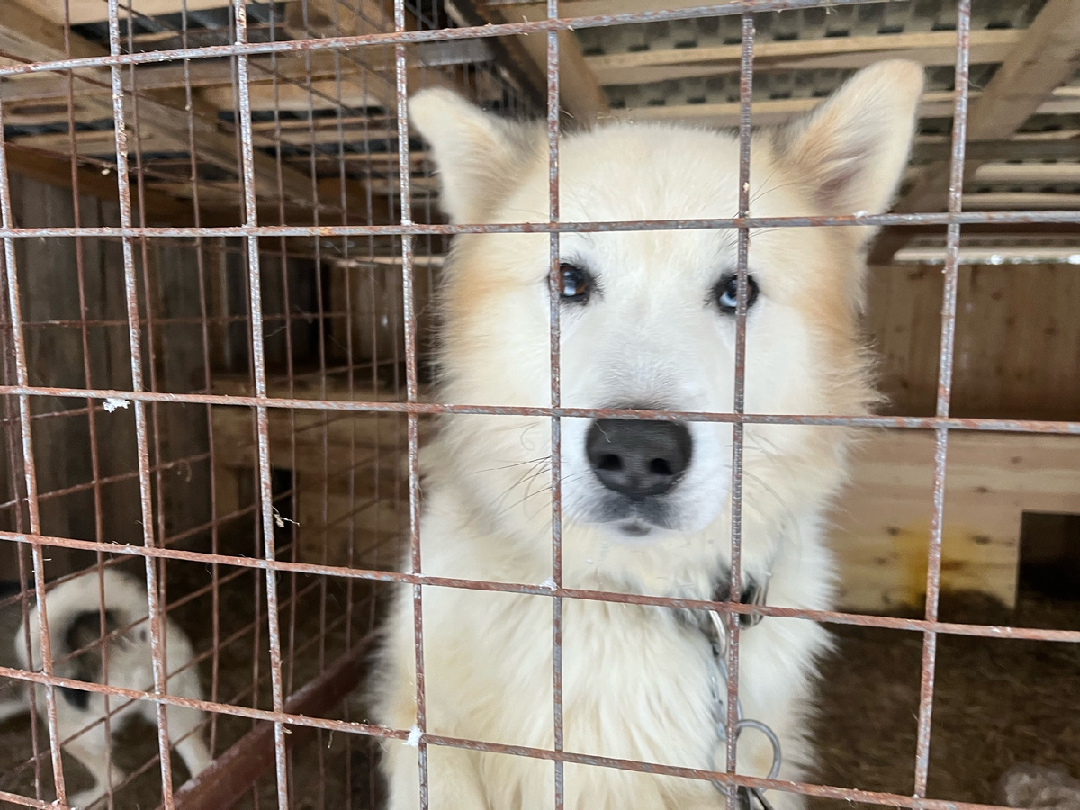 Я не виноват, что такой характер у меня. Детство было тяжёлое. 
