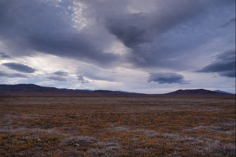 Тундра не молчит.
Она просто говорит не со всеми