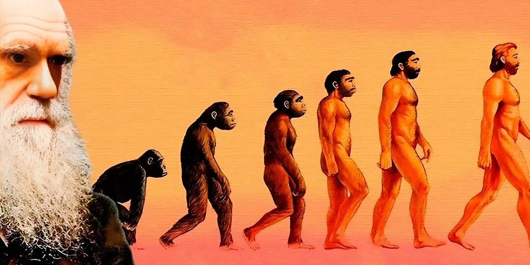 Может, мы - не жители Земли, а её временные гости