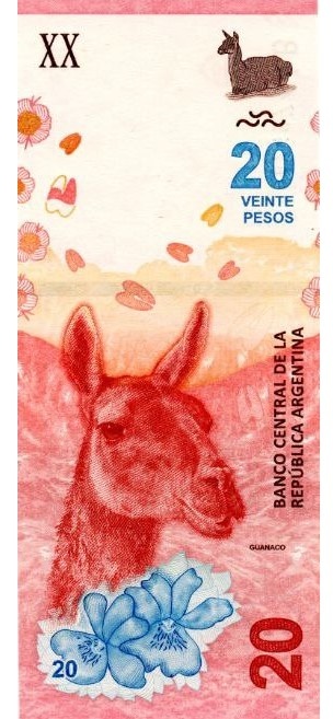 Банкнота, номиналом в 20 аргентинских песо, 2017 год. Скан Автора.