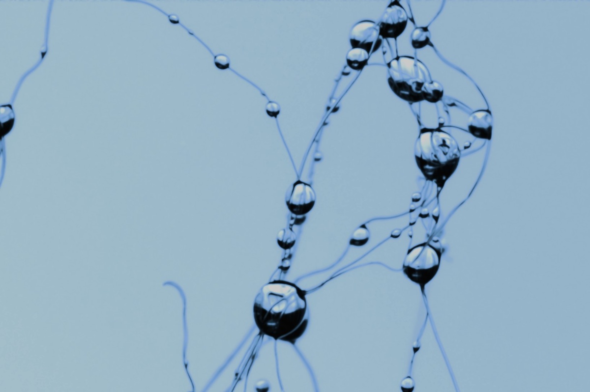 Фото: StockPhotoMan с сайта https://www.rupixel.ru