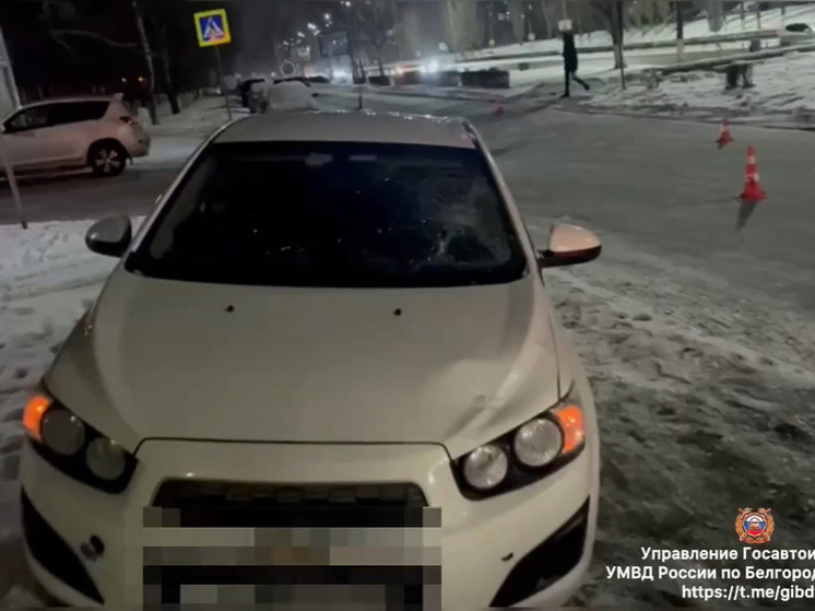     В Старом Осколе иномарка сбила 12-летнюю девочку, фото: скриншот видео пресс-службы Госавтоинспекции по Белгородской области