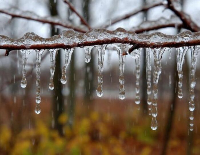 Иллюстрация: сгенерировано нейросетью