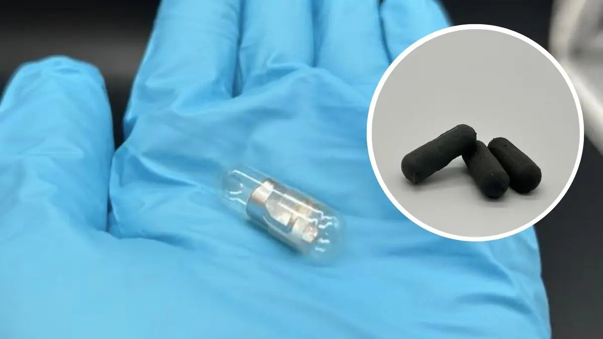 Фото: Mehmet Say  📷
