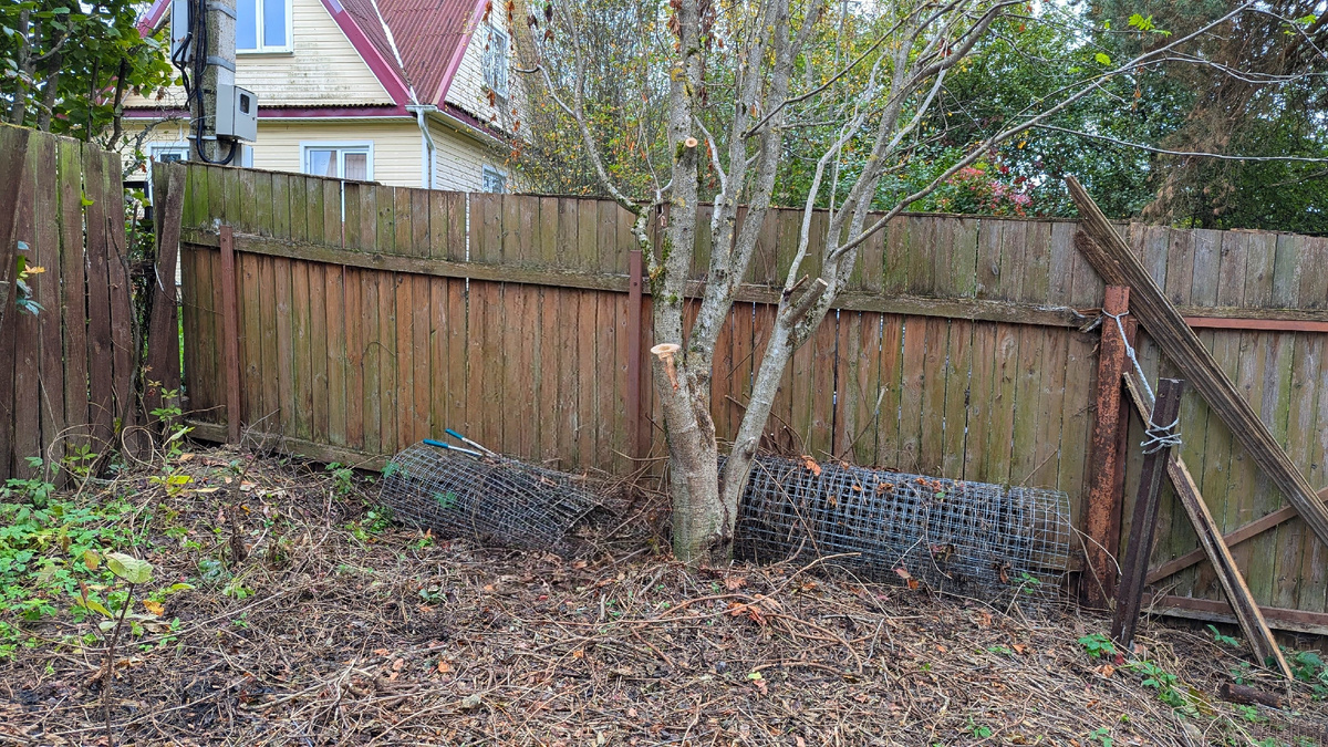 Два рулона сетки