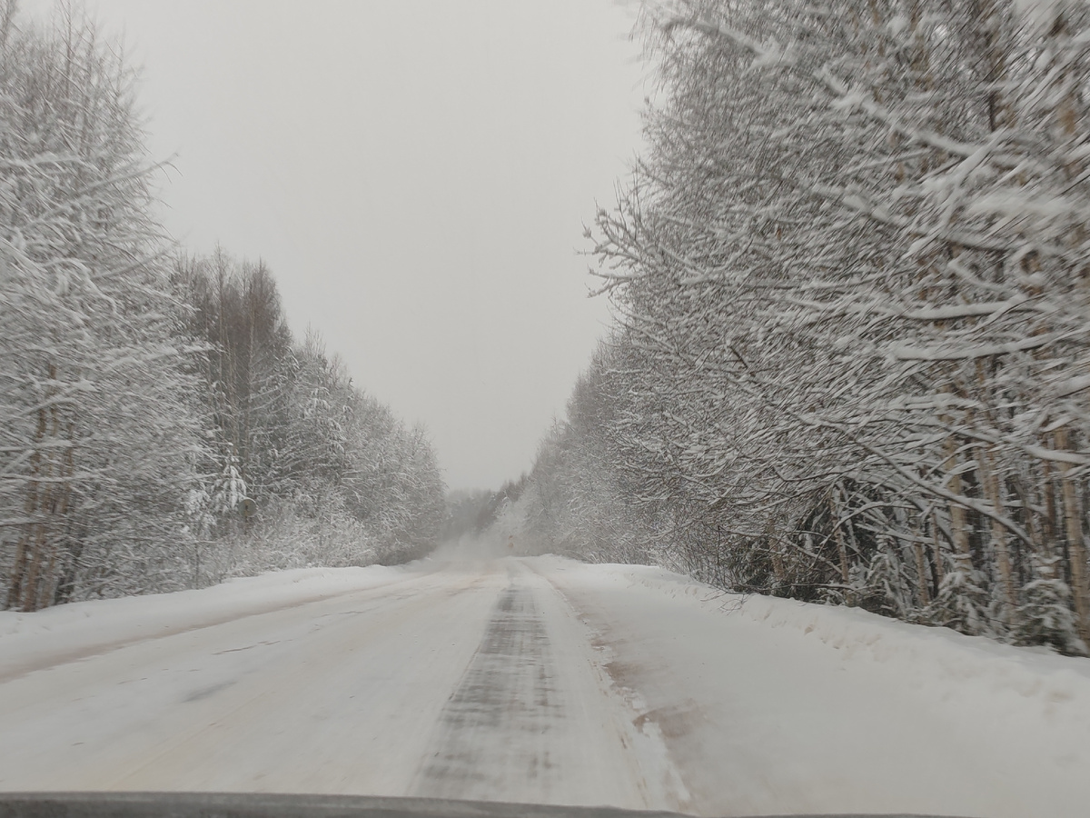 дорога в Кичменгско-Городецком районе утром 5 января после ночного снегопада
