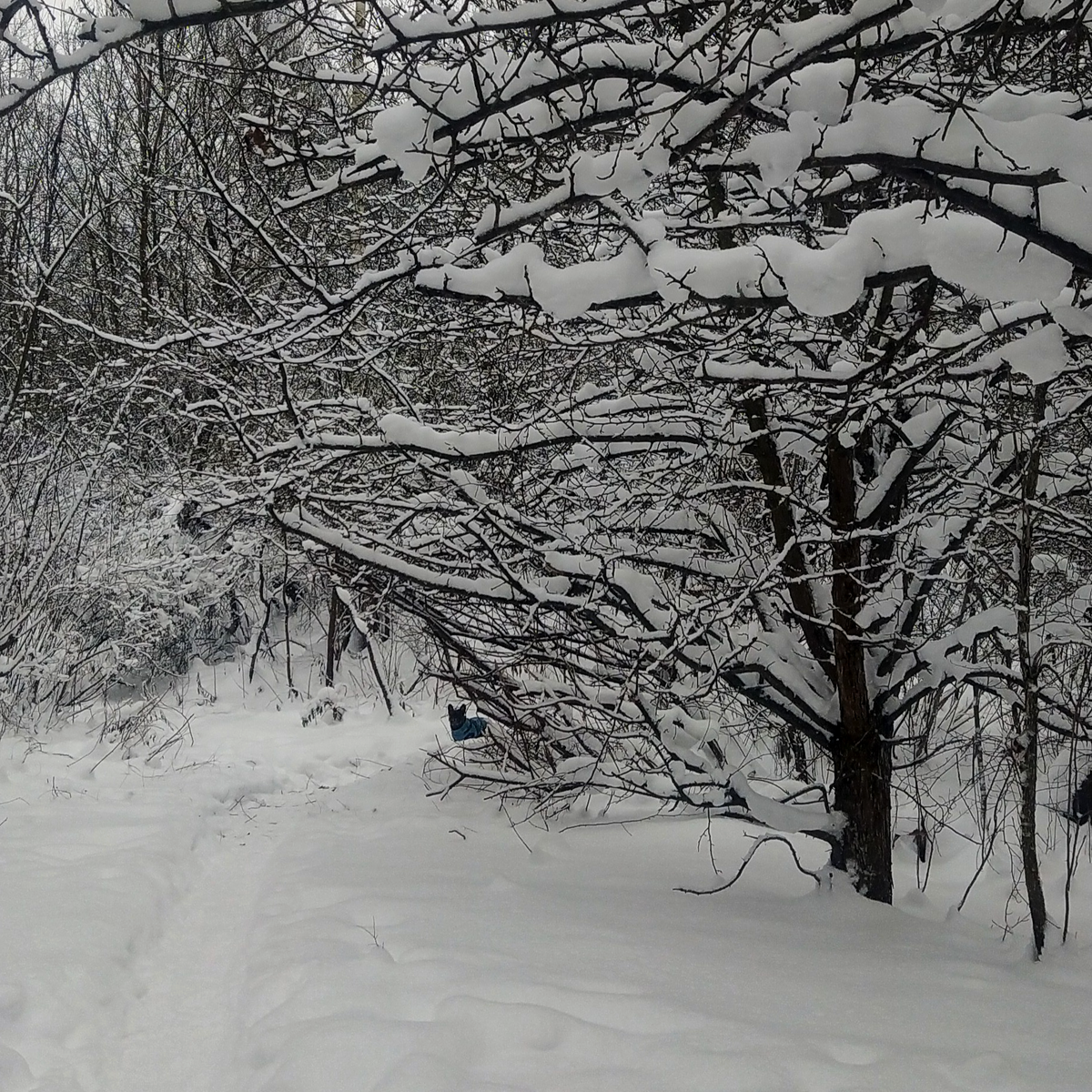 Фото автора.