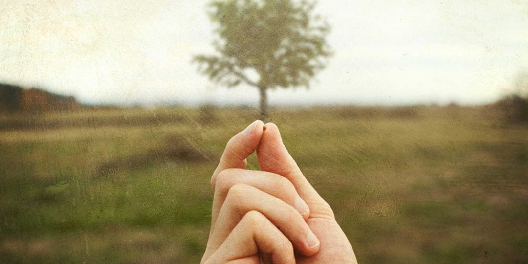 "Жена, растиравшая горчичное семя": как маленькое послушание стало спасением для семьи