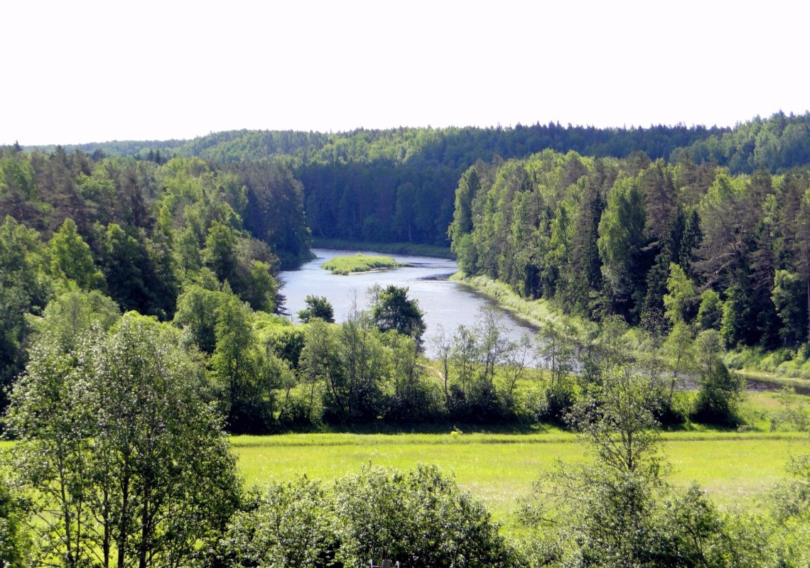 Всех трёх можно легко встретить в обычных речках Северо-Запада, и не только! 