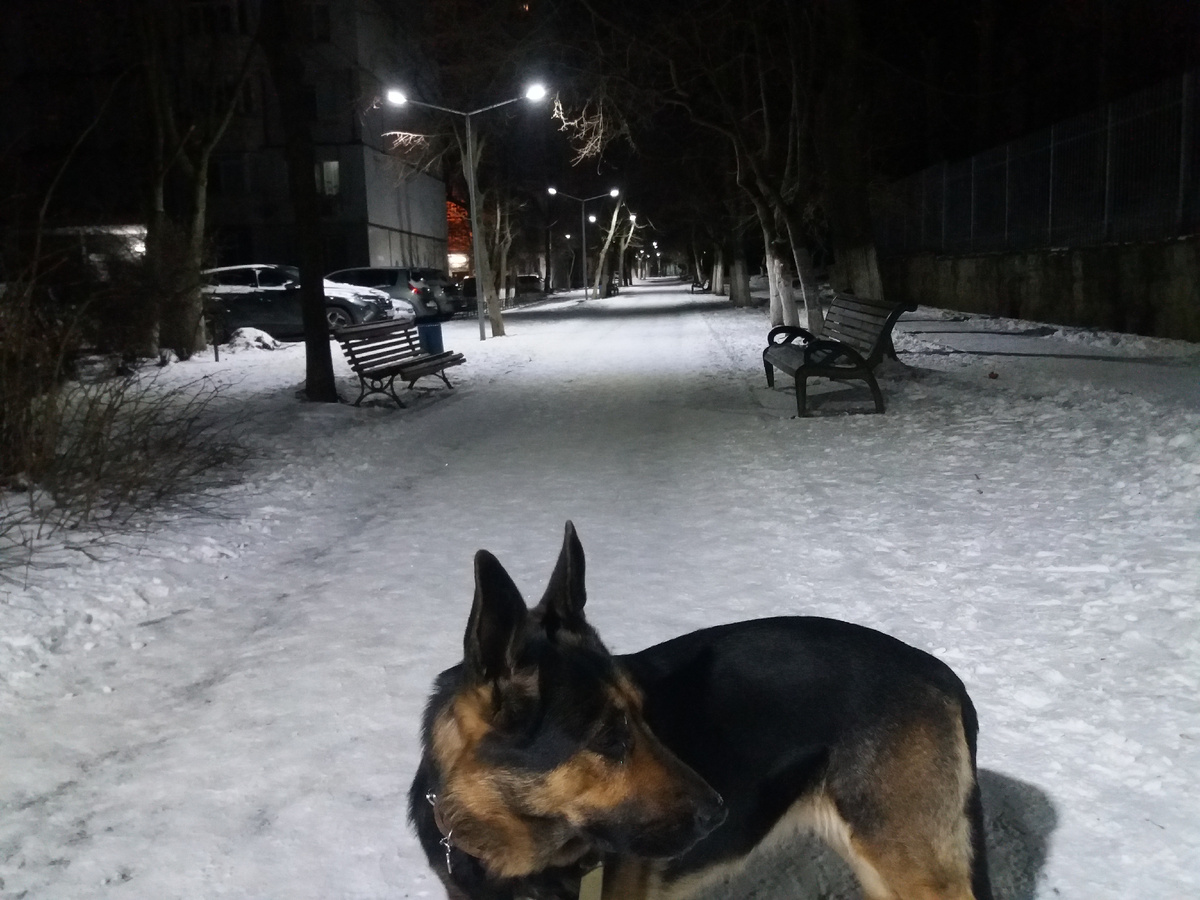 Фото автора