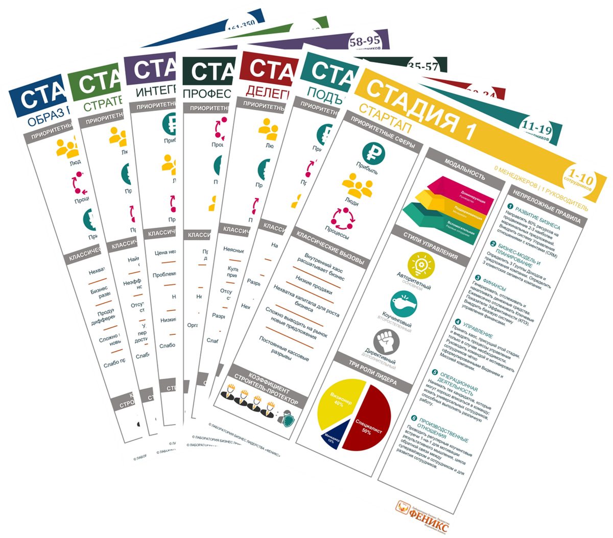 Карточки Стадий роста