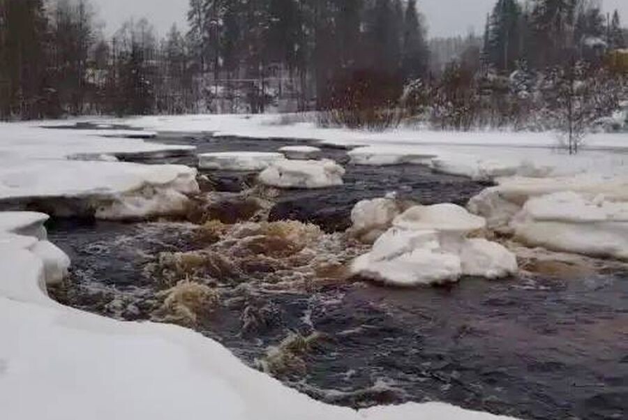    фото: © Госкомитет Карелии по безопасности