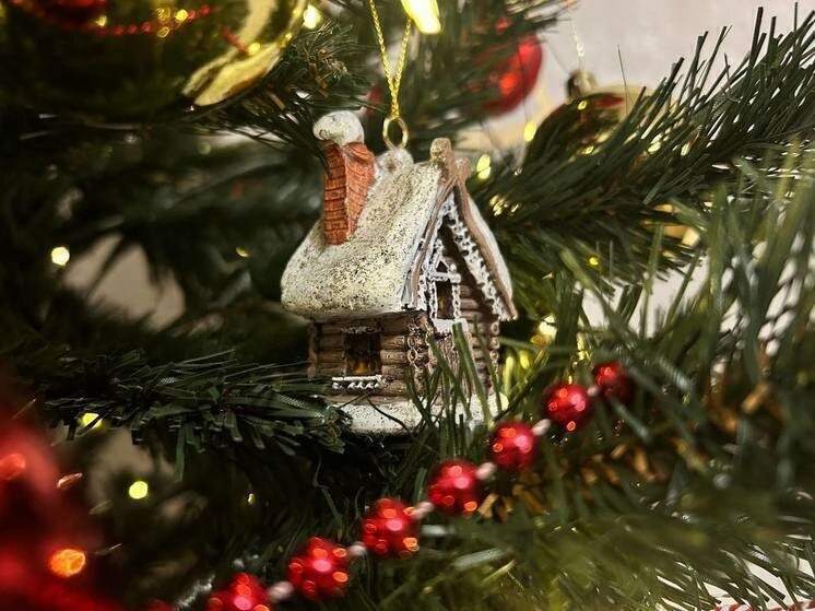     Юные белгородцы побывали на праздничной елке в храме Христа Спасителя в Москве, фото: МК в Белгороде