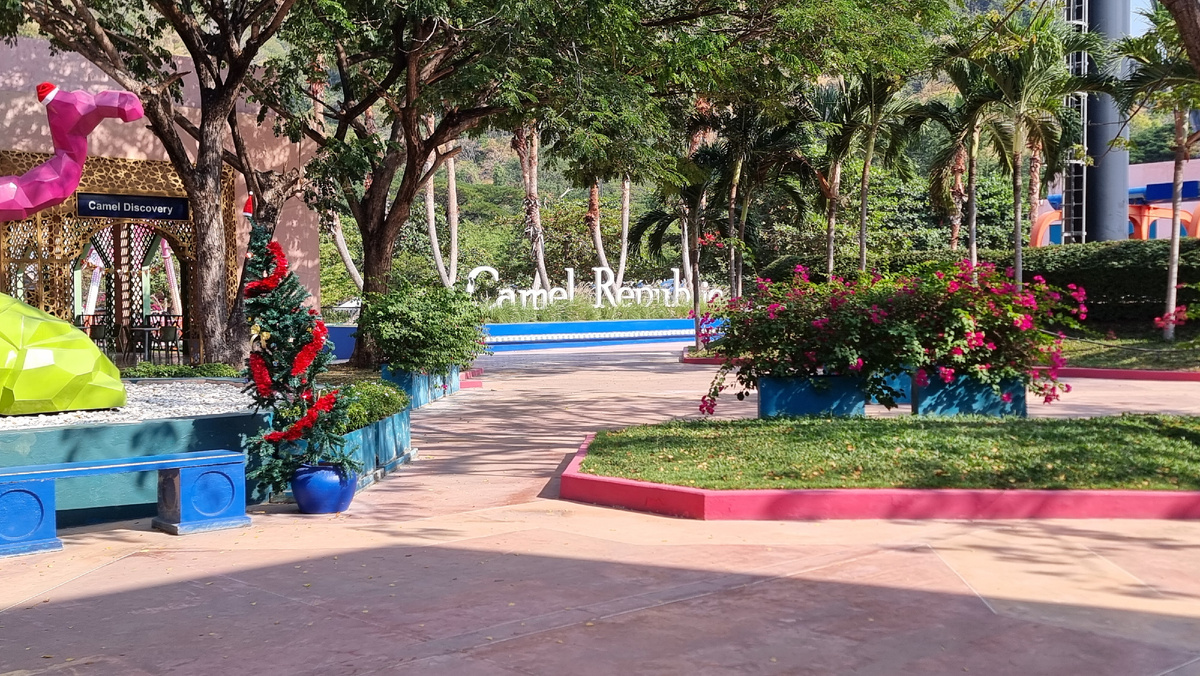 Camel Republic. Фото автора.