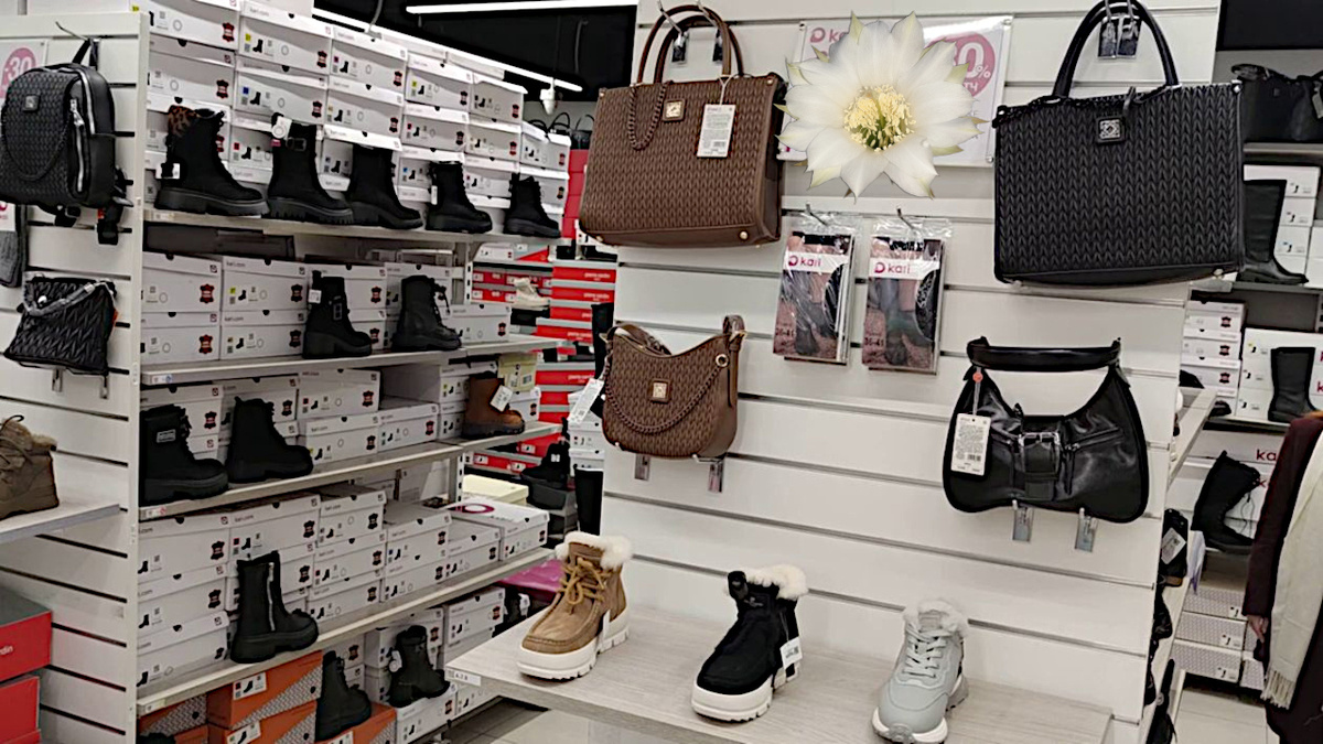 Все фото авторов