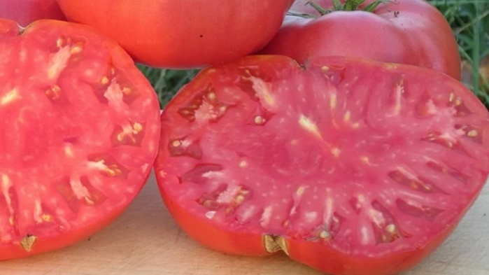 Вернул вкус детских помидоров за 3 года. Проверил 7 лучших старых сортов