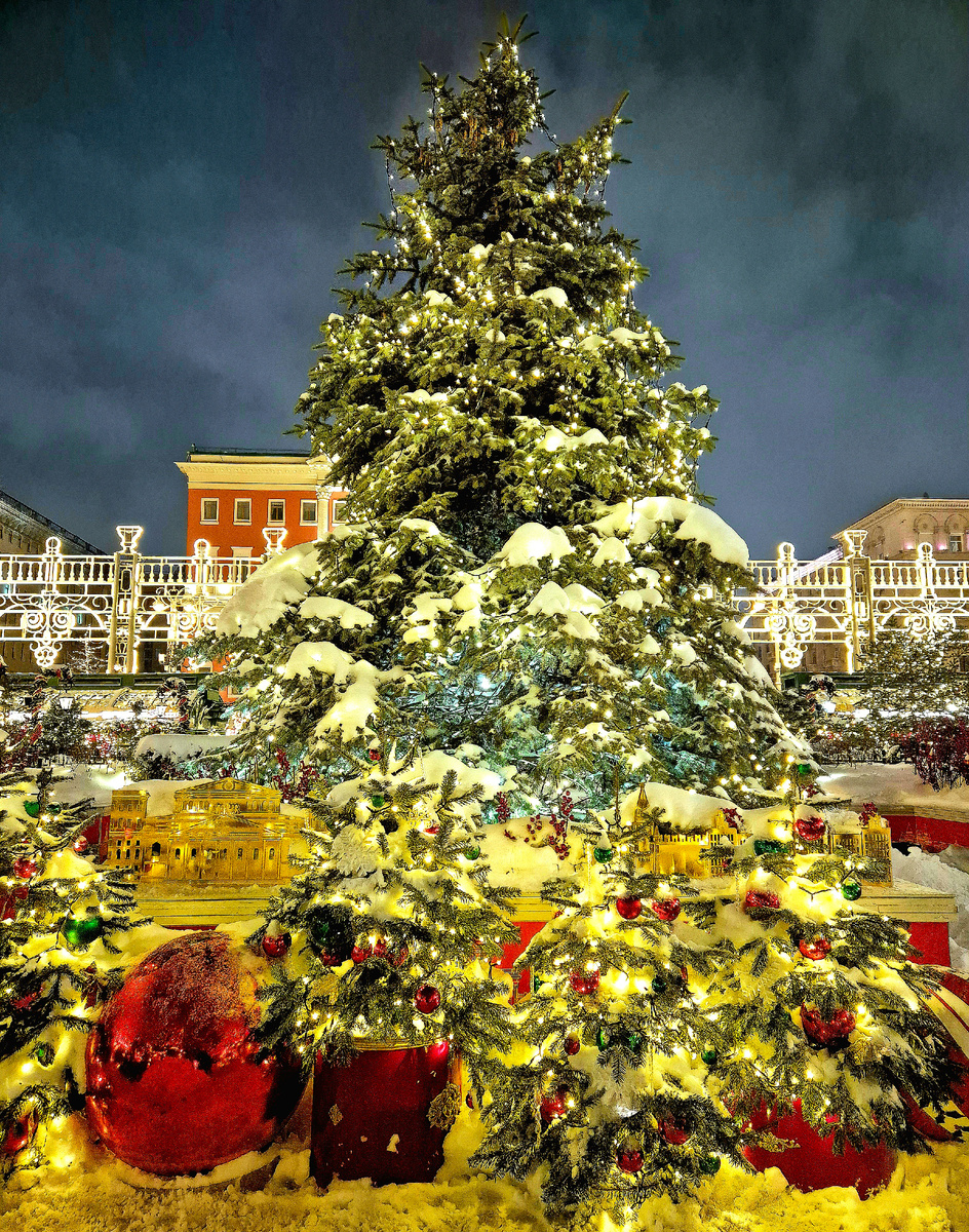 Тверской район. Центральный округ