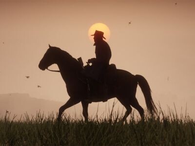   Фанаты Red Dead Redemption 2 обнаружили в игре новую загадку. Она связана с пауками [ВИДЕО]