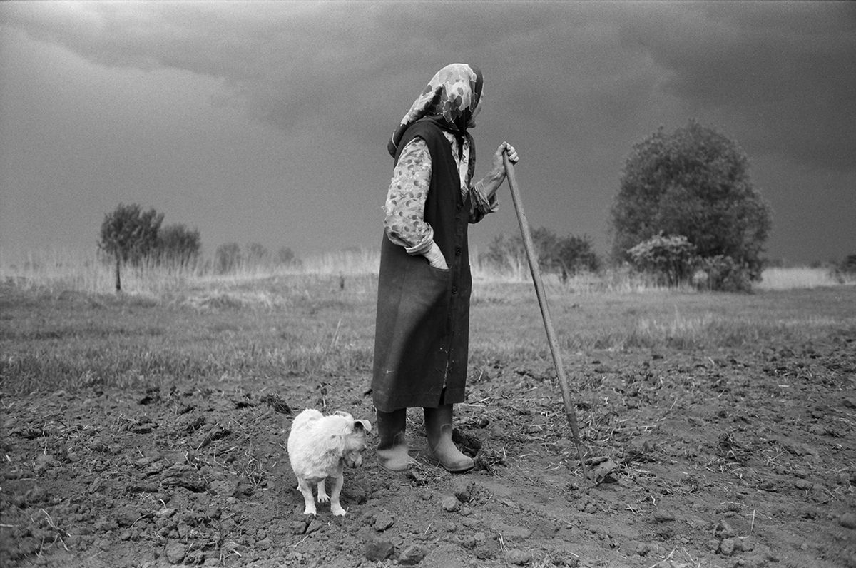 Картинка взята с открытого источника: https://bizar.art/api/media/imgproxy/insecure/fit/1200/1200/ce/0/ngQMhMBsVCLLvD140J11Q?3 Картинка взята с сайта: https://bizar.art/api/media/imgproxy/insecure/fit/1200/1200/ce/0/ngQMhMBsVCLLvD140J11Q?3