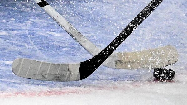    © Sputnik / Владимир Федоренко