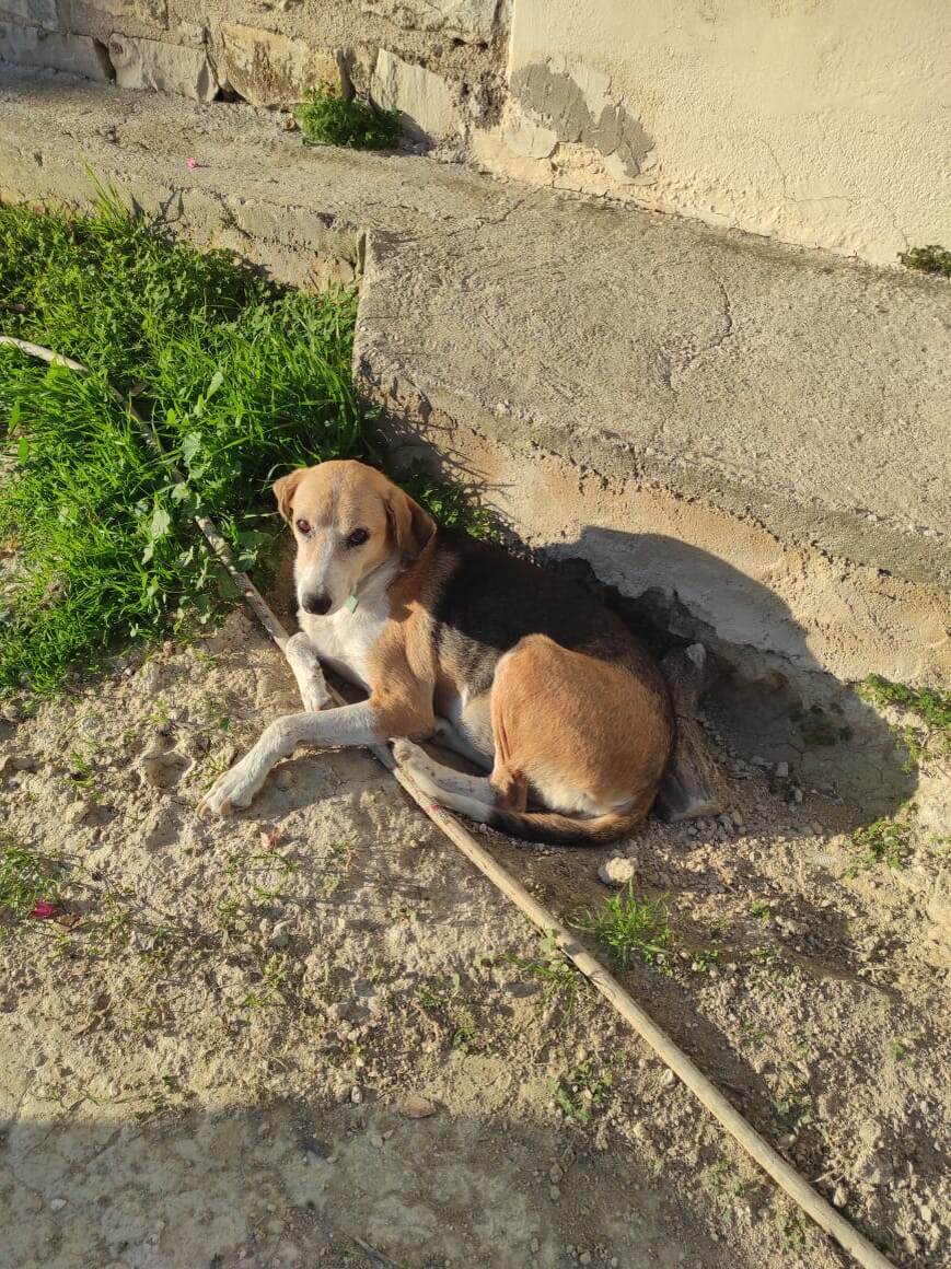 Любопытство - не порок.