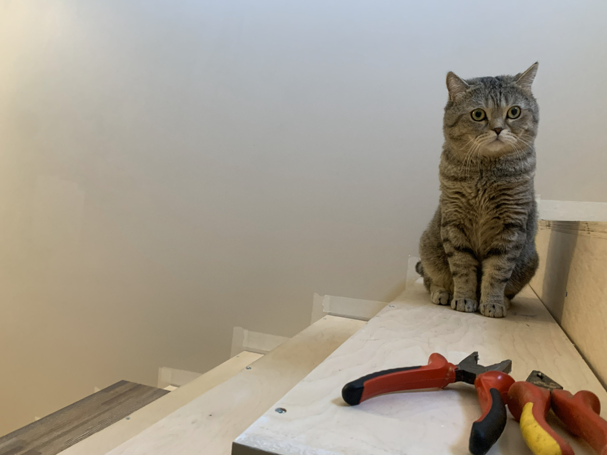 в каждом доме у нас всегда новый прораб))))