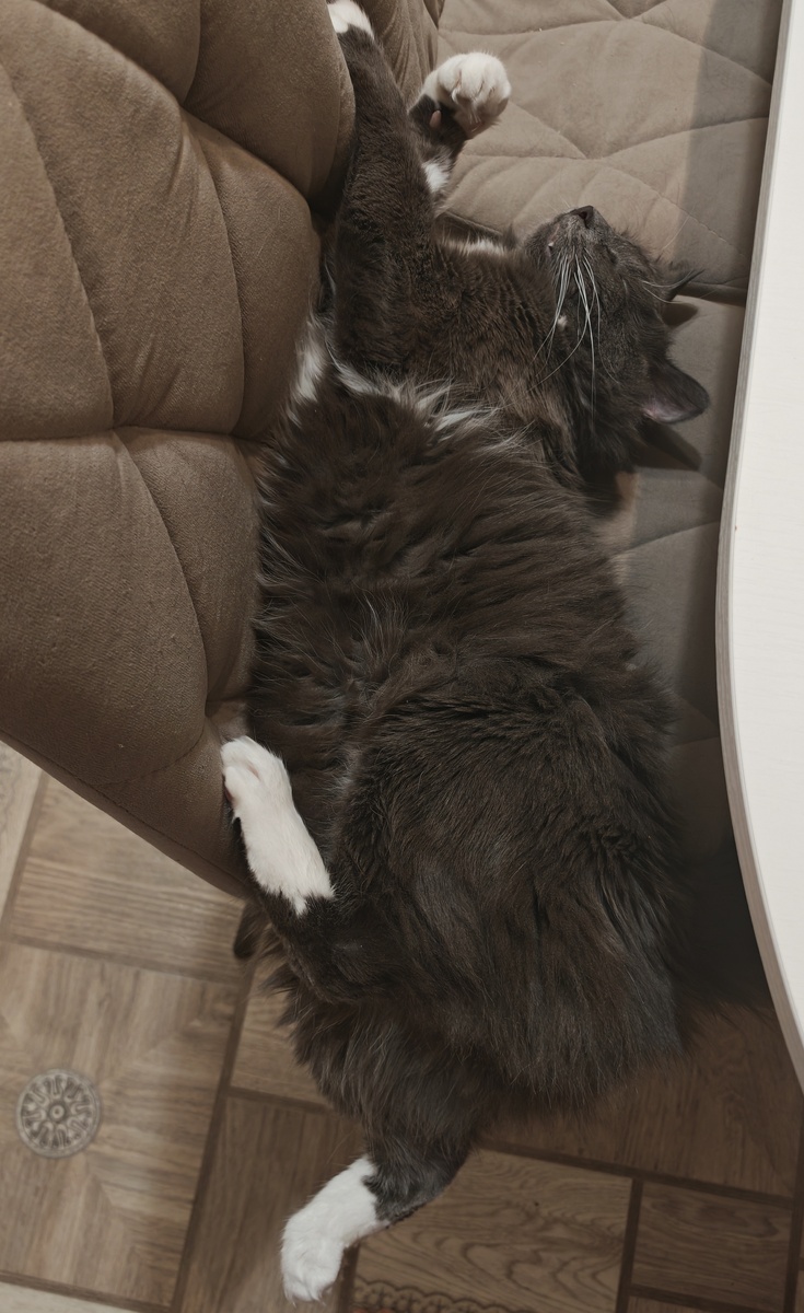 Фото  автора канала.