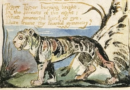 The Tyger (1794)