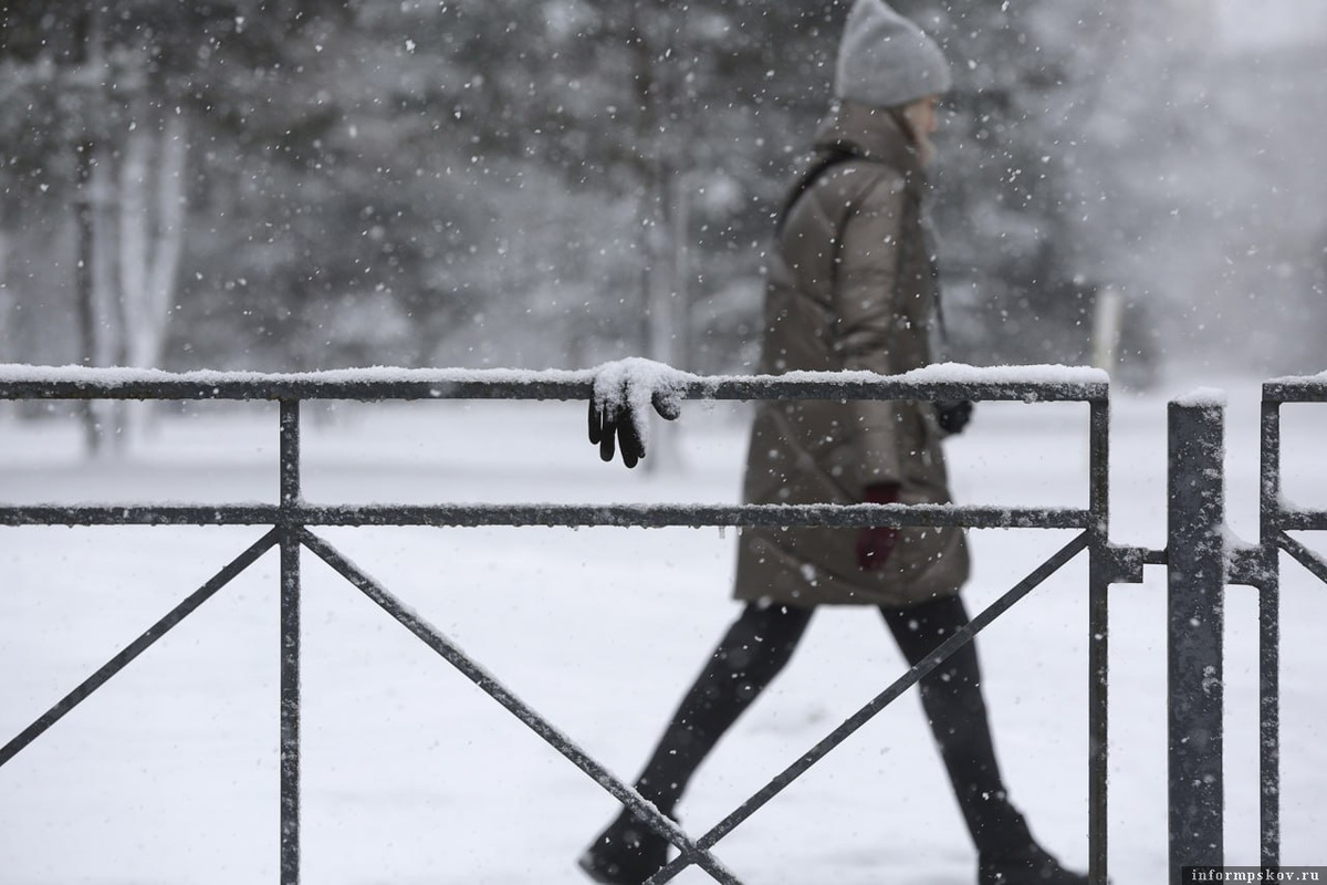 Фото: Андрей Кокшаров