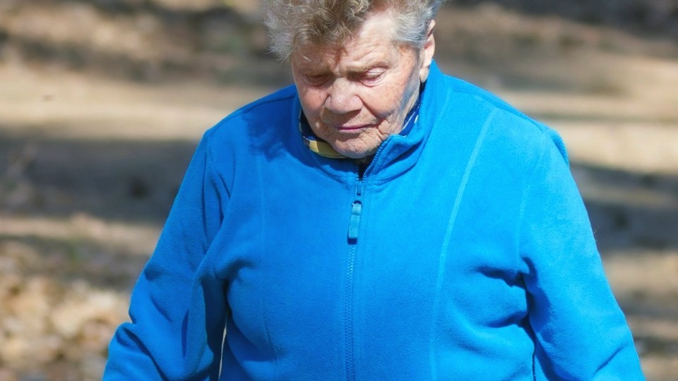 Как проверить свою пенсию, если из лицевого счета исчез весь стаж