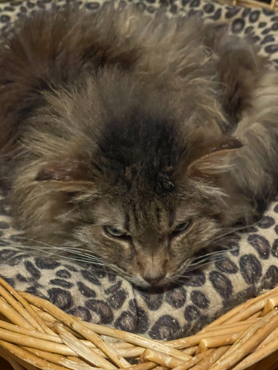 Васенька в приюте. Он всегда смотрел исподлобья...