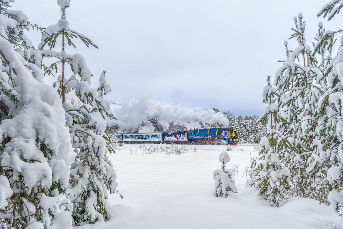 Фото: Алексей Уланов
