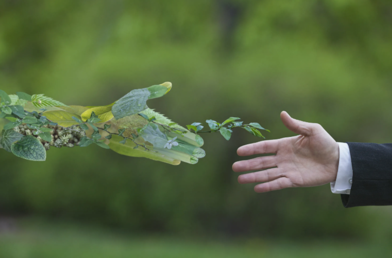 ТОП-3 книги по экологии: интересно и не заумно!